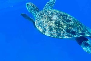 Abades: Guided Snorkeling Tour with Photos