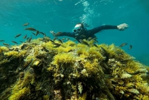 Abades: Guided Snorkeling Tour with Photos