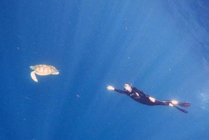 Abades: Snorkeltur med skildpadder og rokker på Tenerife