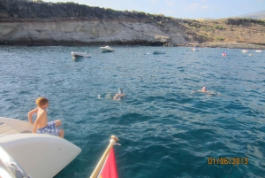 Abrazo Catamaran Sailing and Whale Watching Excursion