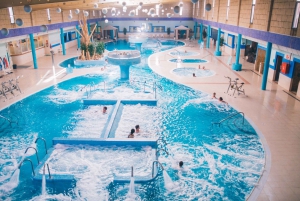 Landegs Tenerife guide 2020
