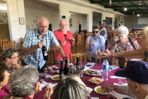 Adeje: Flavours and Wines of Tenerife Gastronomy Tour