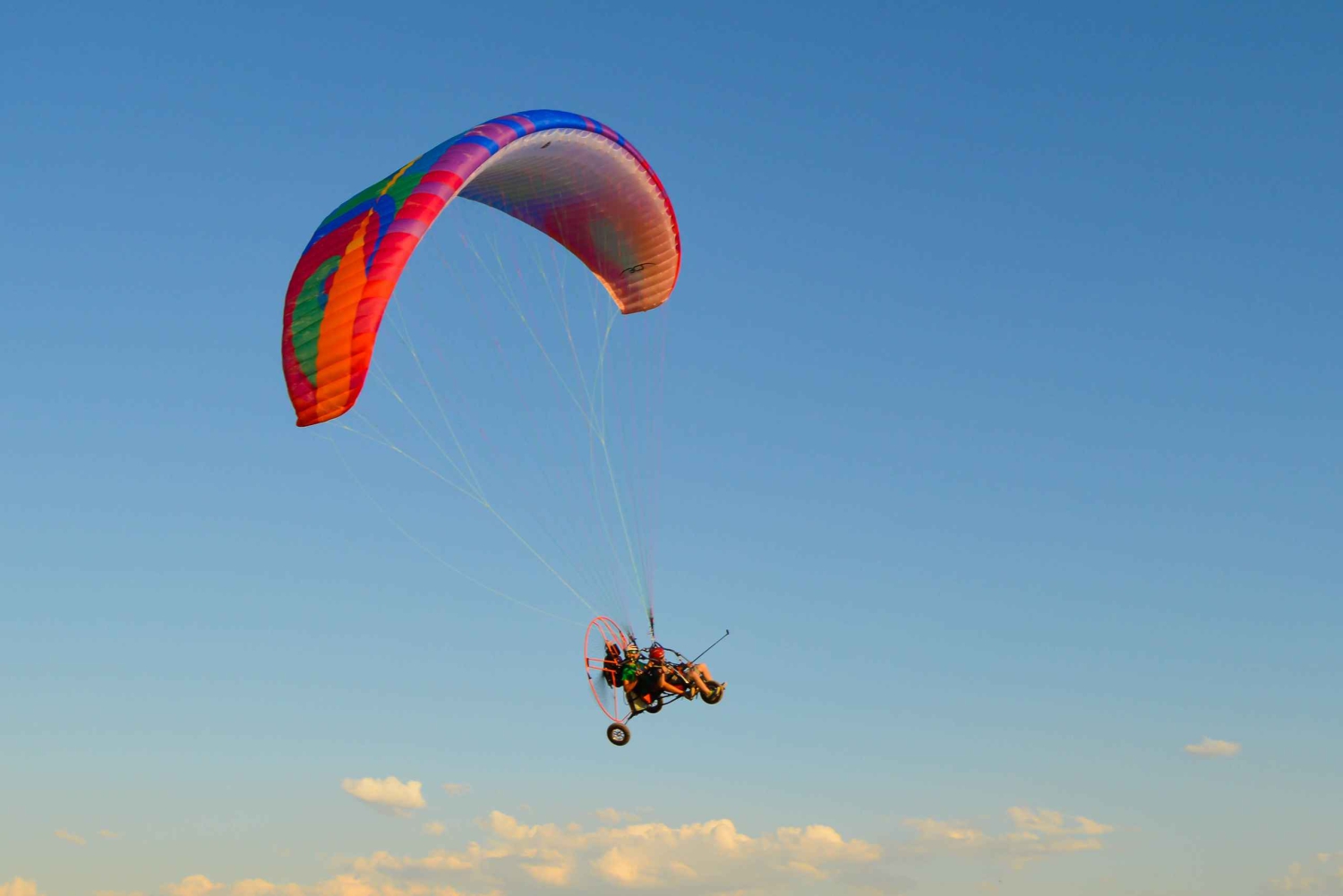 Adeje: Paratrike Flying Tour med upphämtning på hotell och foton