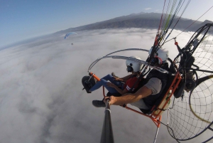 Adeje: Paratrike Flying Tour med upphämtning på hotell och foton