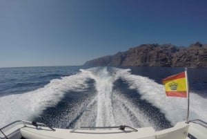 Adeje: Private 6-Hour Whales and Dolphins Motor Boat Cruise