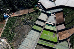 アデヘ：テネリフェ島のヘリコプター遊覧飛行