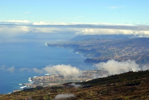 アデヘ：テネリフェ島のヘリコプター遊覧飛行