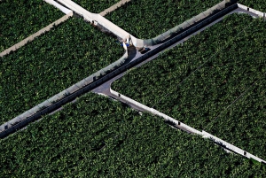 アデヘ：テネリフェ島のヘリコプター遊覧飛行