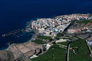 アデヘ：テネリフェ島のヘリコプター遊覧飛行