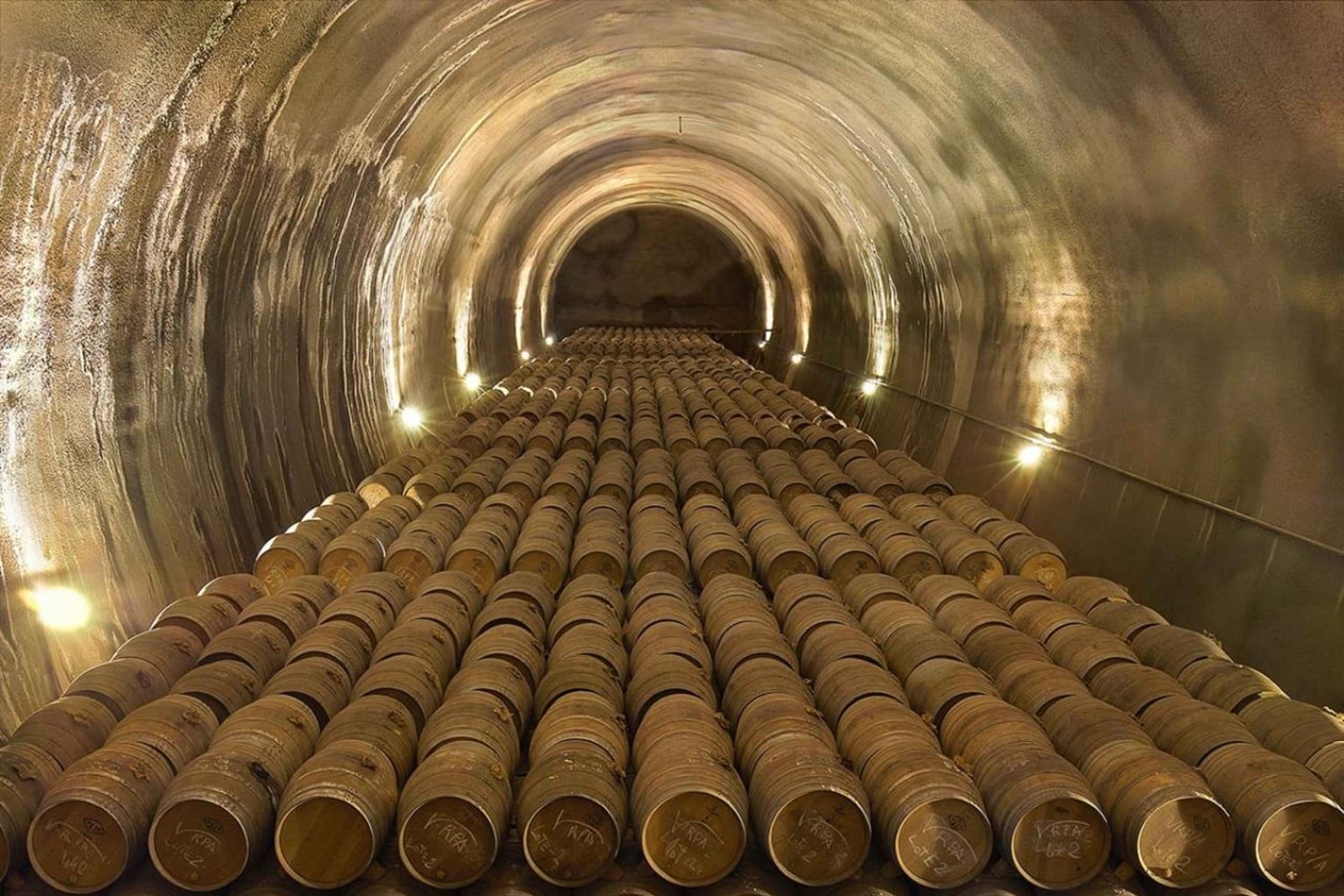 アラバ：ビーニャ・レアル・ワイナリー