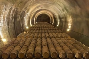 アラバ：ビーニャ・レアル・ワイナリー