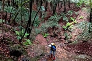 Anaga Canyoning