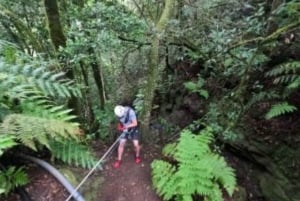 Anaga Canyoning