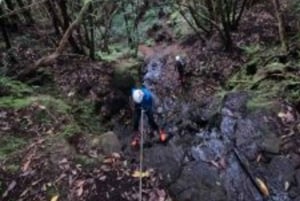 Anaga Canyoning