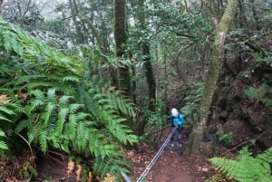 Anaga Canyoning