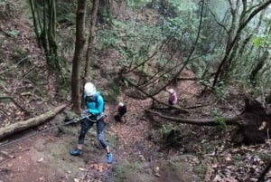 Anaga Canyoning