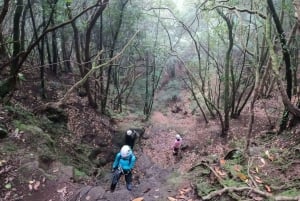 Anaga Canyoning