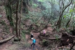 Anaga Canyoning