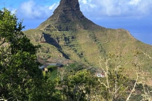 Anaga: Guided Hiking to Taborno with Ocean Views & Pickup