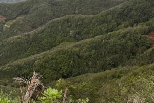 Anaga: Guided Hiking to Taborno with Ocean Views & Pickup