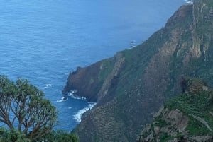 Anaga: Guided Hiking to Taborno with Ocean Views & Pickup