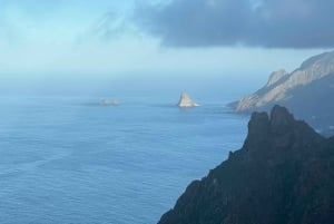 Anaga: Guided Hiking to Taborno with Ocean Views & Pickup