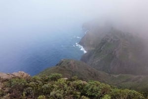 Anaga: Guided Hiking to Taborno with Ocean Views & Pickup