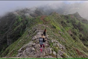 Anaga: Guided Hiking to Taborno with Ocean Views & Pickup