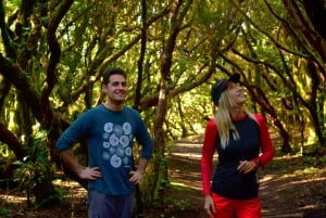 Anaga : randonnée guidée vers Taborno avec vue sur l'océan et prise en charge