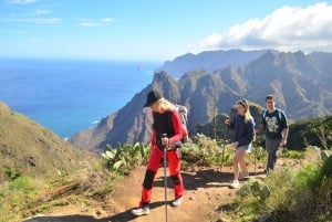Anaga : randonnée guidée vers Taborno avec vue sur l'océan et prise en charge