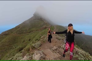 Anaga : randonnée guidée vers Taborno avec vue sur l'océan et prise en charge