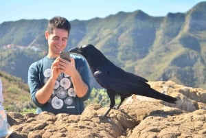 Anaga : randonnée guidée vers Taborno avec vue sur l'océan et prise en charge