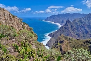 Anaga : randonnée guidée vers Taborno avec vue sur l'océan et prise en charge