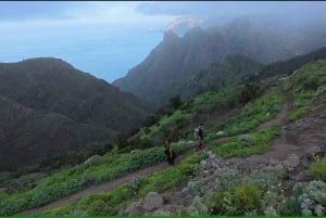 Anaga : randonnée guidée vers Taborno avec vue sur l'océan et prise en charge