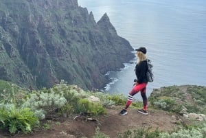 Anaga : randonnée guidée vers Taborno avec vue sur l'océan et prise en charge