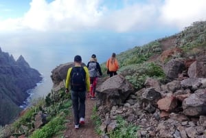 Anaga : randonnée guidée vers Taborno avec vue sur l'océan et prise en charge