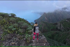 Anaga : randonnée guidée vers Taborno avec vue sur l'océan et prise en charge