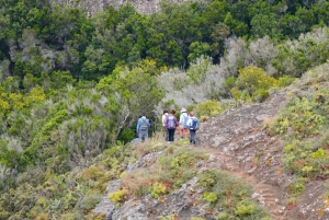 Anaga : Sentier de la Forêt à la Plage et retour en bateau.