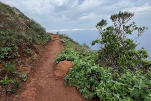 Anaga Trail: Chinamada, Anaga PR