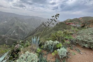 Anaga Trail: Chinamada, Anaga PR