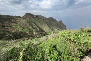 Anaga Trail: Chinamada, Anaga PR