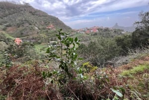 Anaga Trail: Chinamada, Anaga PR