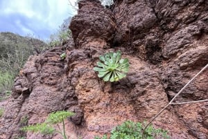 Anaga Trail: Chinamada, Anaga PR