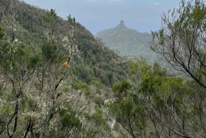 Anaga Trail: Chinamada, Anaga PR