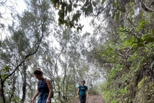 Anaga Trail: Chinamada, Anaga PR