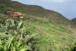 Anagan polku: Chinamada, PR Anaga