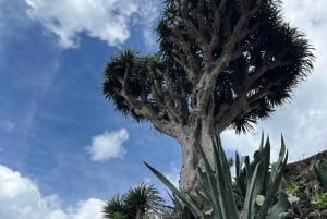 Anagan polku: Chinamada, PR Anaga