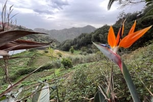 Anagan polku: Chinamada, PR Anaga