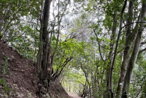 Anagan polku: Chinamada, PR Anaga