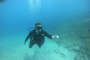 Tenerife: First Experience underwater. Photos and Videos